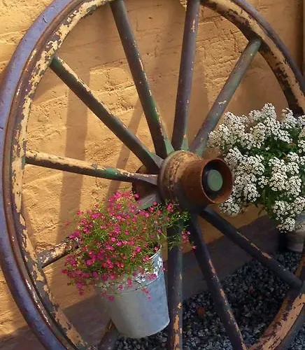 Solyst Kro- Restaurant Og I/s